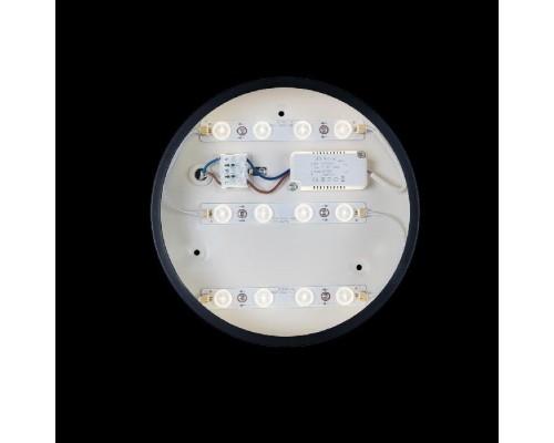 Потолочный светильник Axel 10002/12 Black Loft It