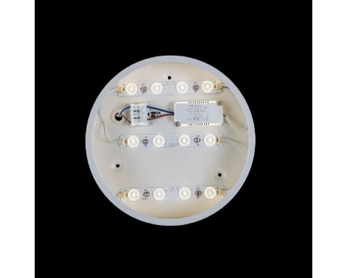 Потолочный светильник Axel 10002/12 White Loft It