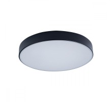 Потолочный светильник Axel 10002/24 Black Loft It