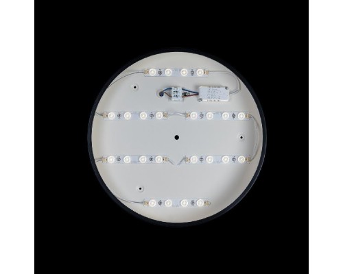 Потолочный светильник Axel 10002/24 Black Loft It