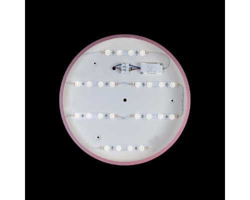Потолочный светильник Axel 10002/24 Pink Loft It