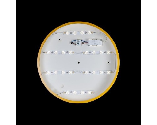 Потолочный светильник Axel 10002/24 Yellow Loft It