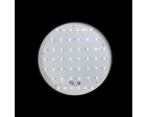 Потолочный светильник Axel 10002/48 Black Loft It