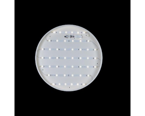 Потолочный светильник Axel 10002/48 White Loft It