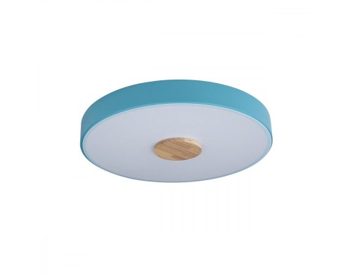 Потолочный светильник Axel 10003/24 Blue Loft It