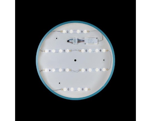 Потолочный светильник Axel 10003/24 Blue Loft It