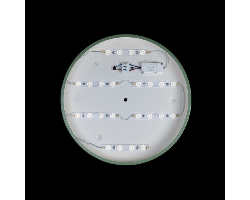 Потолочный светильник Axel 10003/24 Green Loft It