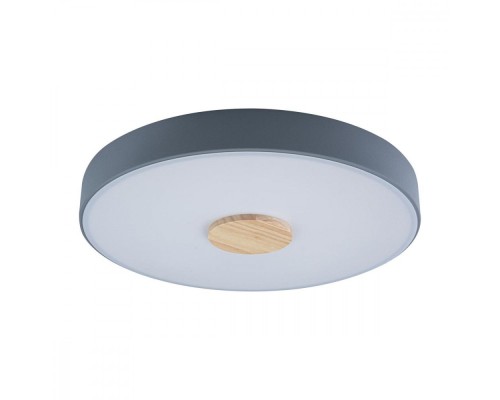 Потолочный светильник Axel 10003/24 Grey Loft It