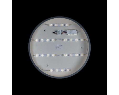 Потолочный светильник Axel 10003/24 Grey Loft It