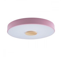 Потолочный светильник Axel 10003/24 Pink Loft It