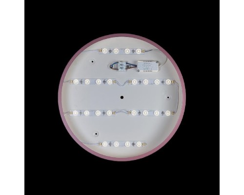 Потолочный светильник Axel 10003/24 Pink Loft It