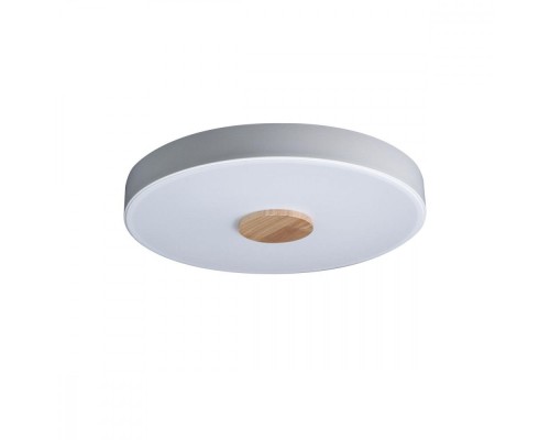 Потолочный светильник Axel 10003/24 White Loft It