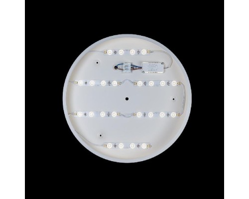 Потолочный светильник Axel 10003/24 White Loft It