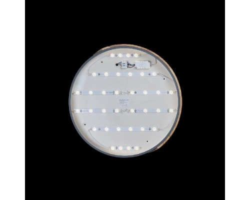 Потолочный светильник Axel 10004/36 Grey Loft It