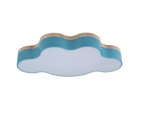 Потолочный светильник Axel 10005/30 Blue Loft It