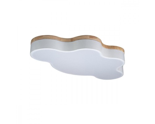 Потолочный светильник Axel 10005/36 White Loft It