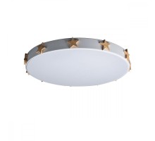 Потолочный светильник Axel 10006/36 White Loft It