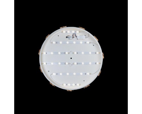 Потолочный светильник Axel 10006/36 White Loft It