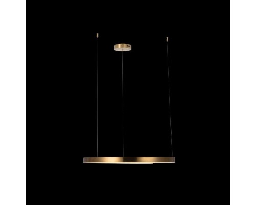 Подвесной светильник Ring 10013L Loft It