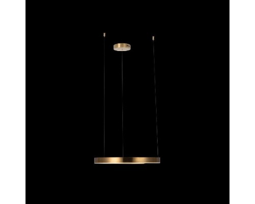Подвесной светильник Ring 10013M Loft It