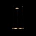 Подвесной светильник Ring 10013M Loft It