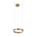 Подвесной светильник Ring 10013S Loft It