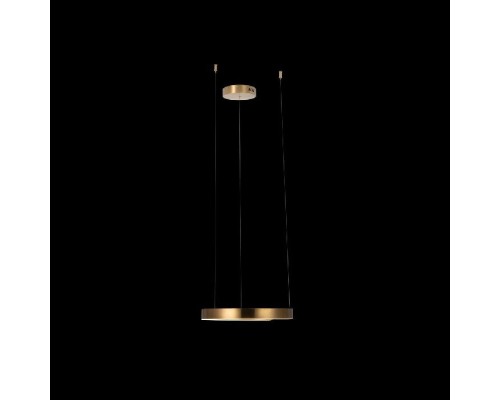 Подвесной светильник Ring 10013S Loft It