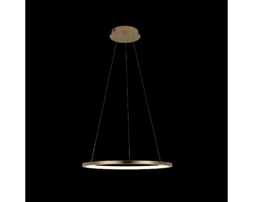 Подвесной светильник Ring 10014M Loft It