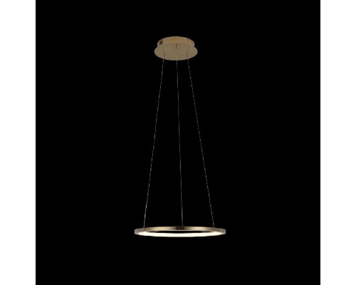 Подвесной светильник Ring 10014S Loft It