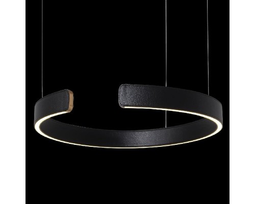 Подвесной светильник Ring 10025/400 Black Loft It