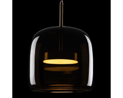 Подвесной светильник Dauphin 10040A Loft It