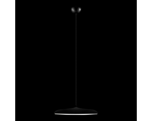 Подвесной светильник Plato 10119 Black Loft It