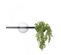 Настенный светильник Jardin 10121W/A Loft It