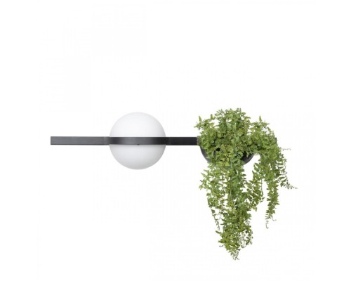 Настенный светильник Jardin 10121W/A Loft It