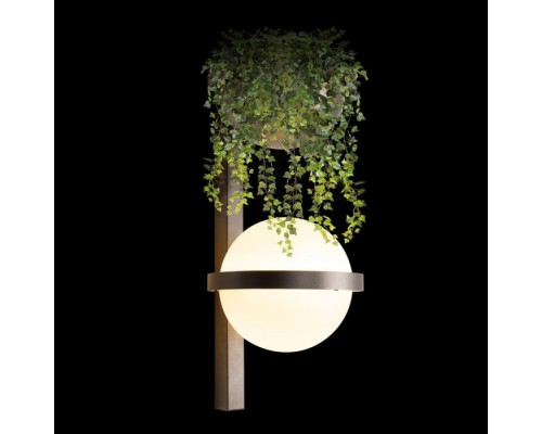 Настенный светильник Jardin 10121W/B Dark grey Loft It