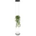 Подвесной светильник Jardin 10121/1P Dark grey Loft It