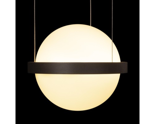 Подвесной светильник Jardin 10121/1P Dark grey Loft It