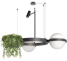 Подвесной светильник Jardin 10121/2 Dark grey Loft It