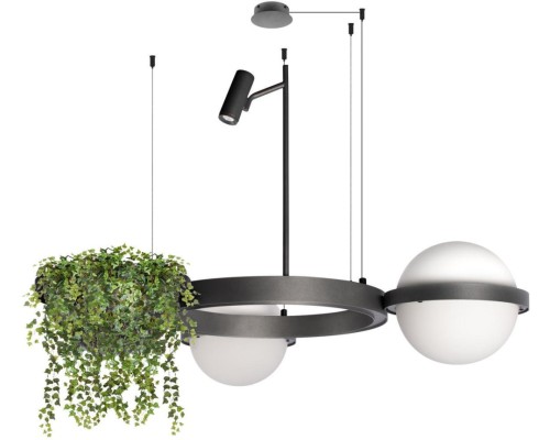 Подвесной светильник Jardin 10121/2 Dark grey Loft It