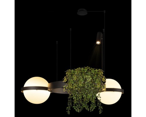 Подвесной светильник Jardin 10121/2 Dark grey Loft It