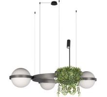 Подвесной светильник Jardin 10121/3 Dark grey Loft It