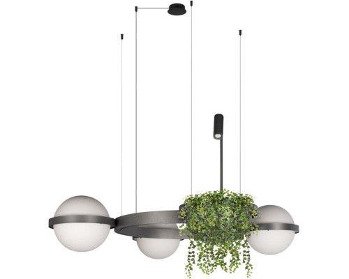 Подвесной светильник Jardin 10121/3 Dark grey Loft It