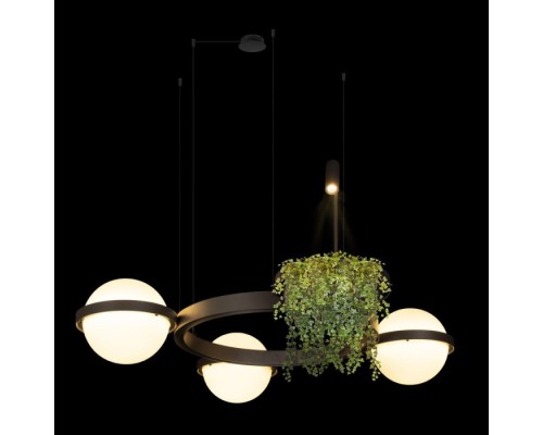 Подвесной светильник Jardin 10121/3 Dark grey Loft It