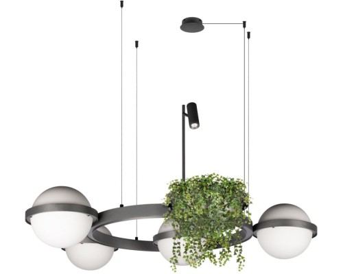 Подвесной светильник Jardin 10121/4 Dark grey Loft It