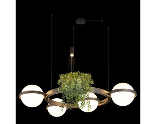 Подвесной светильник Jardin 10121/4 Dark grey Loft It