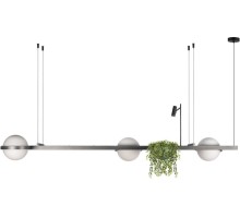 Подвесной светильник Jardin 10121/C Dark grey Loft It