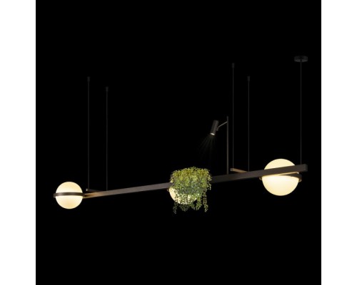 Подвесной светильник Jardin 10121/C Dark grey Loft It