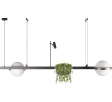 Подвесной светильник Jardin 10121/D Dark grey Loft It