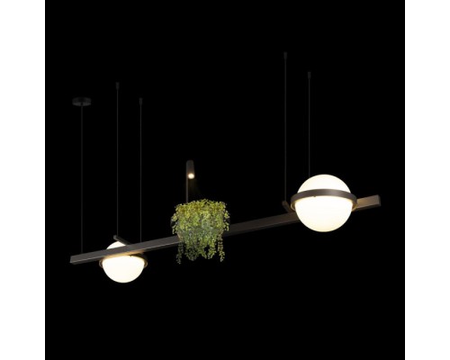 Подвесной светильник Jardin 10121/D Dark grey Loft It