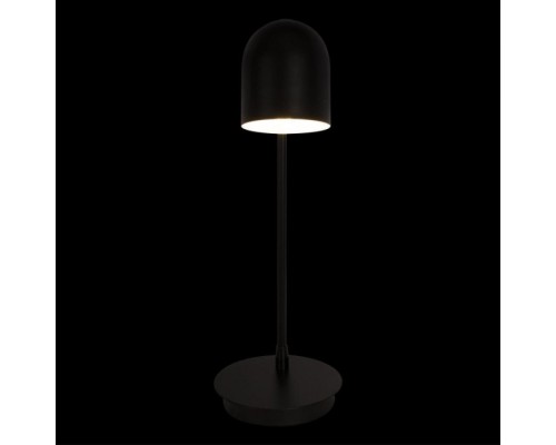 Интерьерная настольная лампа Tango 10144 Black Loft It